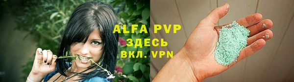 сатива Надым