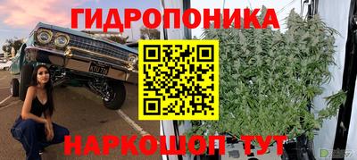 сатива Гатчина