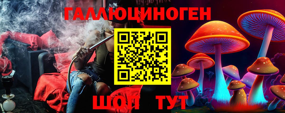 Галлюциногенные грибы GOLDEN TEACHER  Вход с VPN  Юрга 