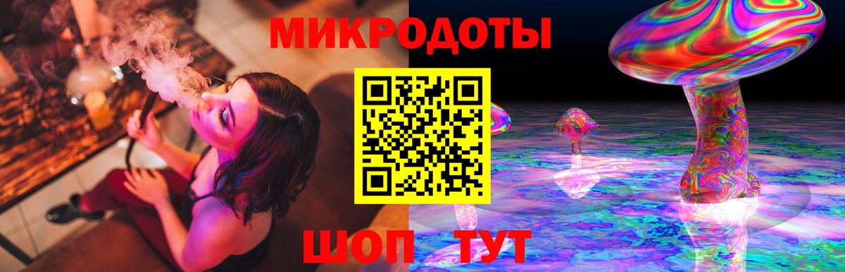 Галлюциногенные грибы Psilocybe Юрга